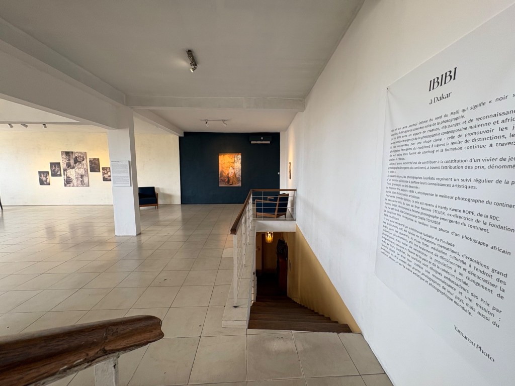 At Galerie Atiss Dakar, Photography Frames Questions of Identity, Memory, and the&nbsp;Environment